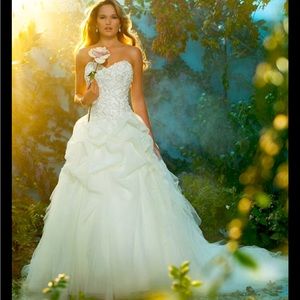 Alfred Angelo (Disney 2013) Rapunzel Wedding Dress Size 12